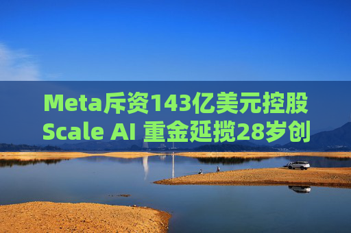 Meta斥资143亿美元控股Scale AI 重金延揽28岁创始人掌舵AI超级计划  第1张