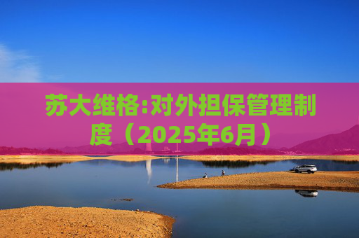 苏大维格:对外担保管理制度（2025年6月）