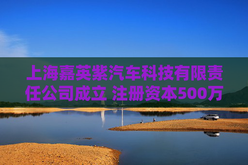 上海嘉英紫汽车科技有限责任公司成立 注册资本500万人民币  第1张