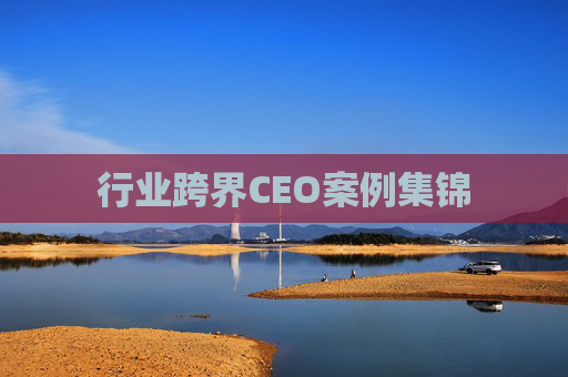 行业跨界CEO案例集锦