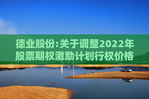 德业股份:关于调整2022年股票期权激励计划行权价格及数量的公告  第1张