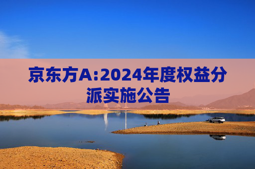 京东方A:2024年度权益分派实施公告  第1张