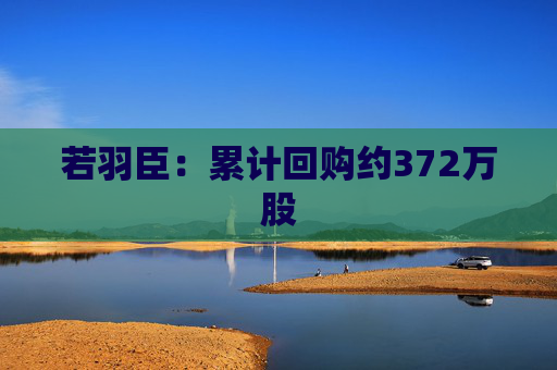 若羽臣：累计回购约372万股