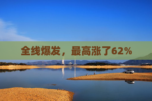 全线爆发，最高涨了62%  第1张