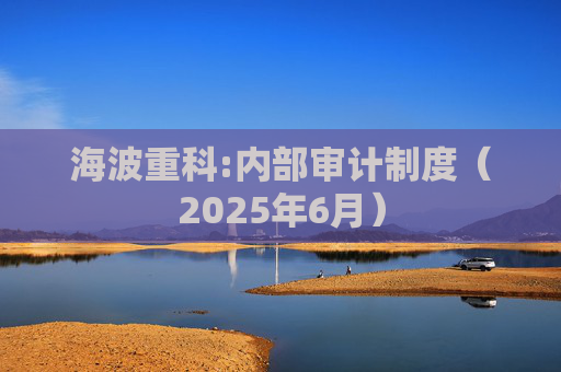 海波重科:内部审计制度（2025年6月）  第1张