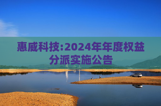 惠威科技:2024年年度权益分派实施公告  第1张