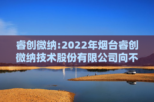 睿创微纳:2022年烟台睿创微纳技术股份有限公司向不特定对象发行可转换公司债券定期跟踪评级报告  第1张