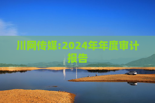 川网传媒:2024年年度审计报告