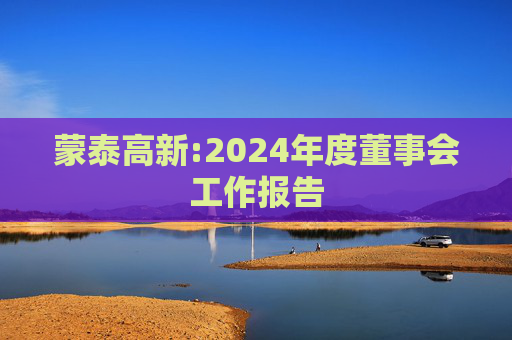 蒙泰高新:2024年度董事会工作报告