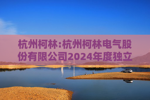 杭州柯林:杭州柯林电气股份有限公司2024年度独立董事述职报告(毛卫民)