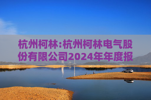 杭州柯林:杭州柯林电气股份有限公司2024年年度报告