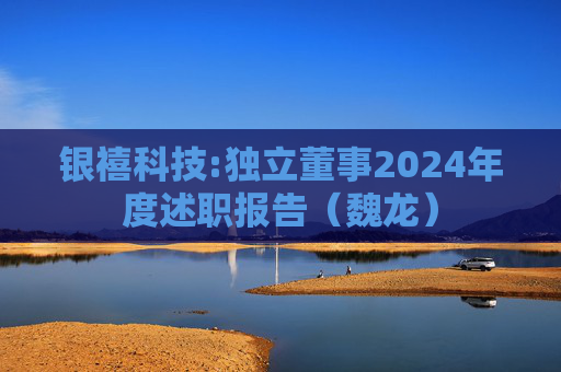 银禧科技:独立董事2024年度述职报告（魏龙）  第1张