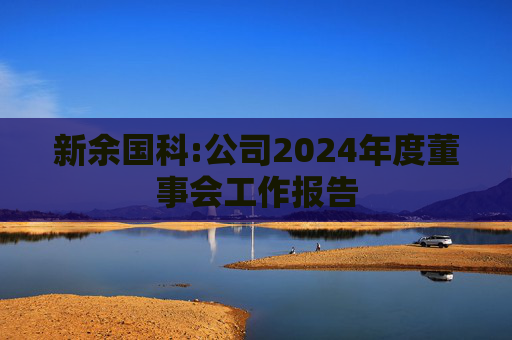 新余国科:公司2024年度董事会工作报告  第1张