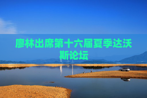 廖林出席第十六届夏季达沃斯论坛
