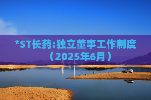 *ST长药:独立董事工作制度（2025年6月）