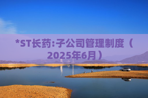 *ST长药:子公司管理制度（2025年6月）  第1张