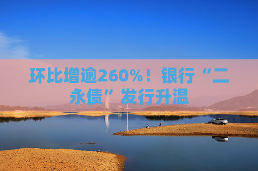 环比增逾260%！银行“二永债”发行升温