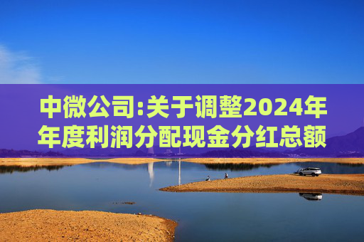 中微公司:关于调整2024年年度利润分配现金分红总额的公告