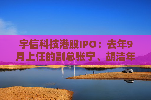 宇信科技港股IPO：去年9月上任的副总张宁、胡洁年薪百万，2015年上任的副总郑春年薪73.5万