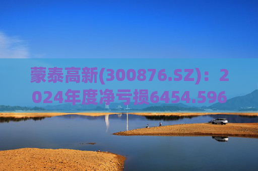 蒙泰高新(300876.SZ)：2024年度净亏损6454.596万元