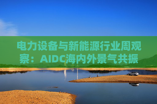 电力设备与新能源行业周观察：AIDC海内外景气共振 储能需求向好发展