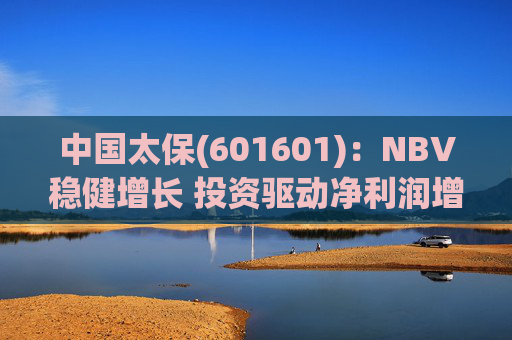 中国太保(601601)：NBV稳健增长 投资驱动净利润增速提升  第1张