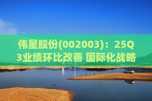 伟星股份(002003)：25Q3业绩环比改善 国际化战略保障成长  第1张