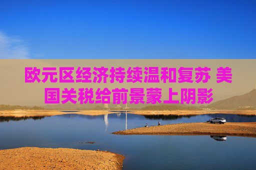 欧元区经济持续温和复苏 美国关税给前景蒙上阴影 第1张 欧元区经济持续温和复苏 美国关税给前景蒙上阴影 第1张