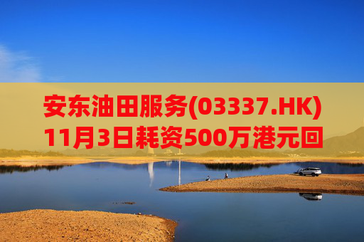 安东油田服务(03337.HK)11月3日耗资500万港元回购472万股  第1张