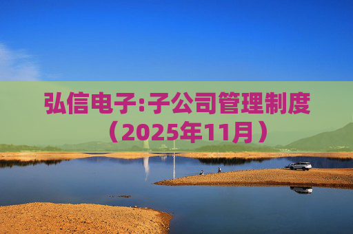 弘信电子:子公司管理制度（2025年11月）