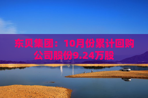 东贝集团：10月份累计回购公司股份9.24万股  第1张
