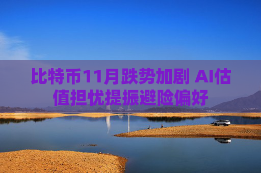 比特币11月跌势加剧 AI估值担忧提振避险偏好