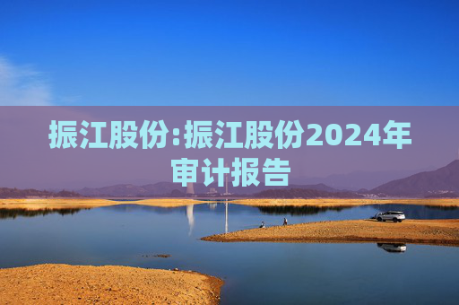 振江股份:振江股份2024年审计报告