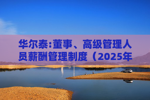 华尔泰:董事、高级管理人员薪酬管理制度（2025年11月）  第1张