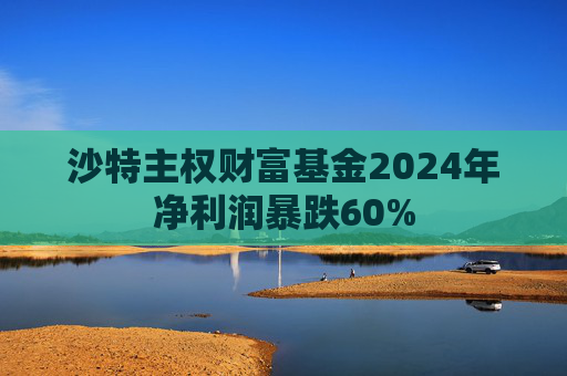 沙特主权财富基金2024年净利润暴跌60% 第1张 沙特主权财富基金2024年净利润暴跌60% 第1张