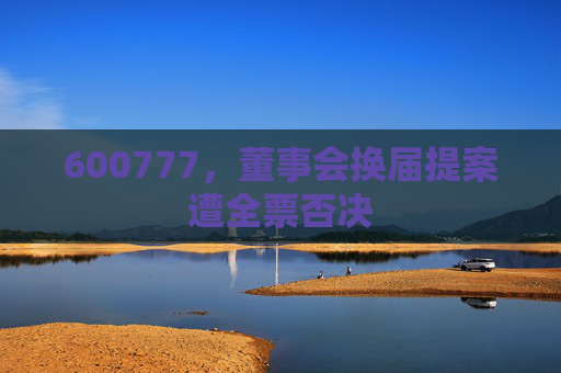 600777,董事会换届提案遭全票否决 第1张 600777,董事会换届提案遭全票否决 第1张