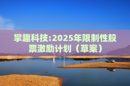 掌趣科技:2025年限制性股票激励计划（草案）