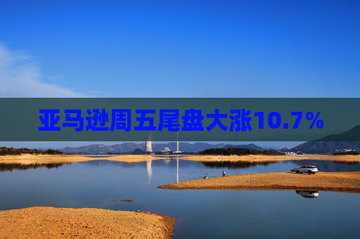 亚马逊周五尾盘大涨10.7%