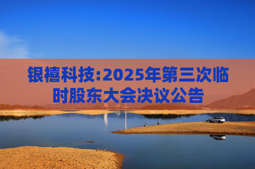银禧科技:2025年第三次临时股东大会决议公告