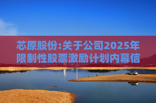 芯原股份:关于公司2025年限制性股票激励计划内幕信息知情人买卖公司股票情况的自查报告