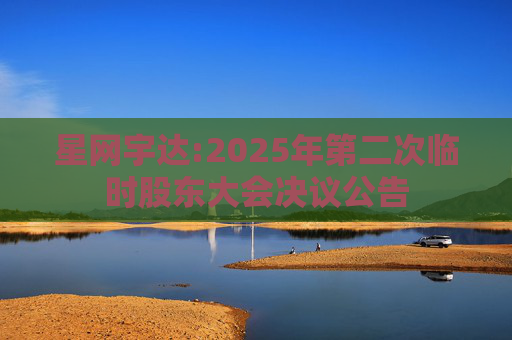 星网宇达:2025年第二次临时股东大会决议公告