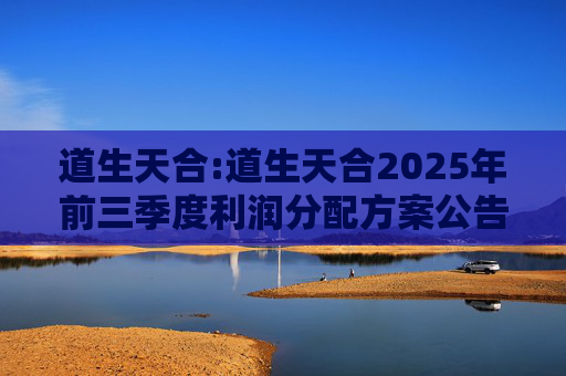道生天合:道生天合2025年前三季度利润分配方案公告