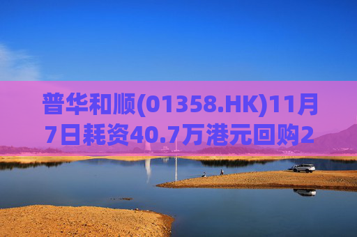 普华和顺(01358.HK)11月7日耗资40.7万港元回购29.5万股  第1张