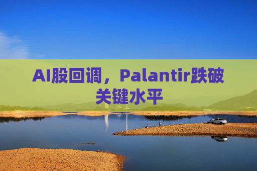 AI股回调，Palantir跌破关键水平