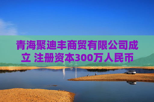 青海聚迪丰商贸有限公司成立 注册资本300万人民币  第1张