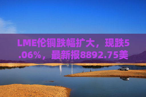 LME伦铜跌幅扩大，现跌5.06%，最新报8892.75美元/吨  第1张