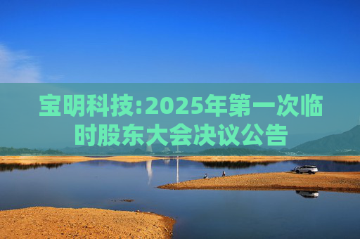 宝明科技:2025年第一次临时股东大会决议公告