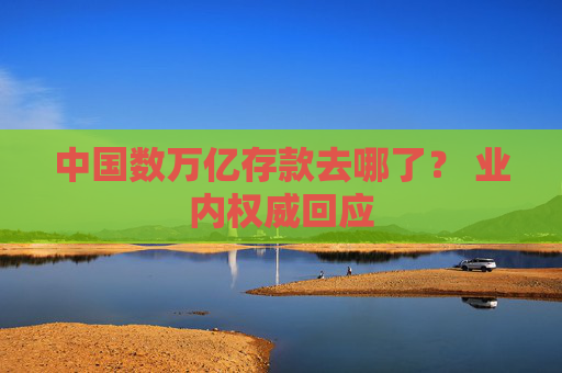 中国数万亿存款去哪了？ 业内权威回应