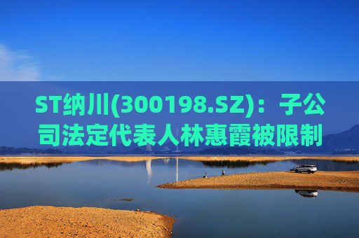 ST纳川(300198.SZ)：子公司法定代表人林惠霞被限制高消费  第1张