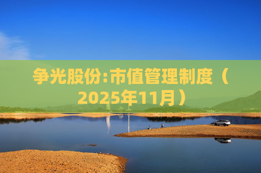 争光股份:市值管理制度（2025年11月）  第1张